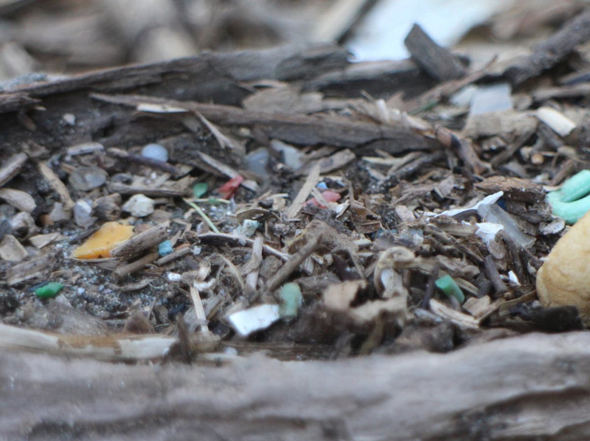 生分解性プラスチックは、地球のプラごみ汚染を救うのか？