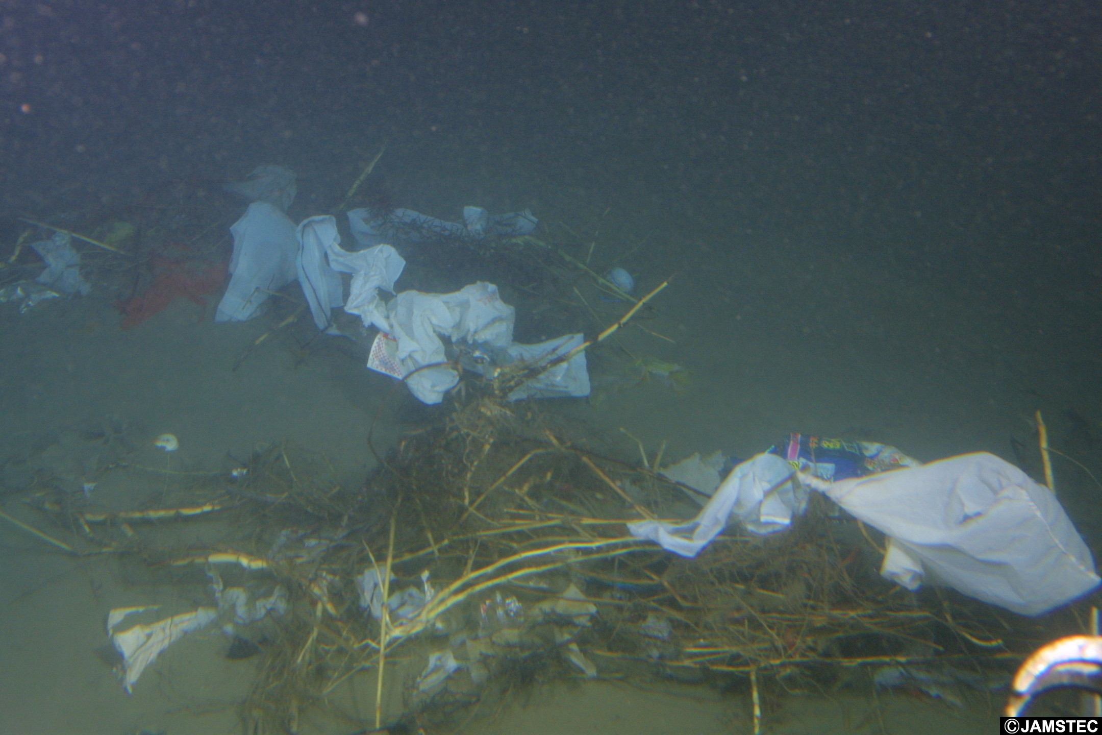 水深1554メートルの駿河湾海底に沈んだプラスチックごみ（海洋研究開発機構提供）